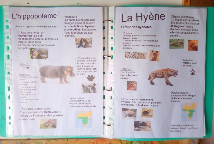 apprendre les animaux de la savane en français