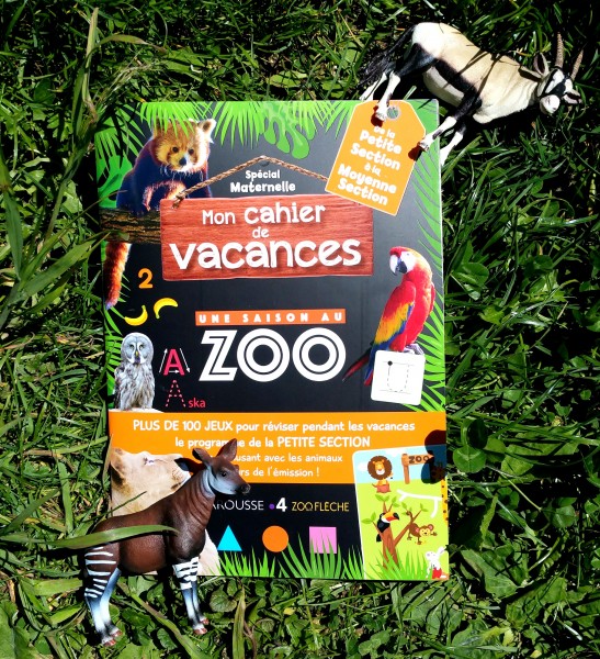 cahier de vacances une saison au zoo